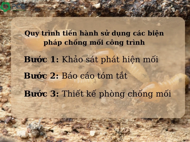 Biện pháp chống mối công trình 